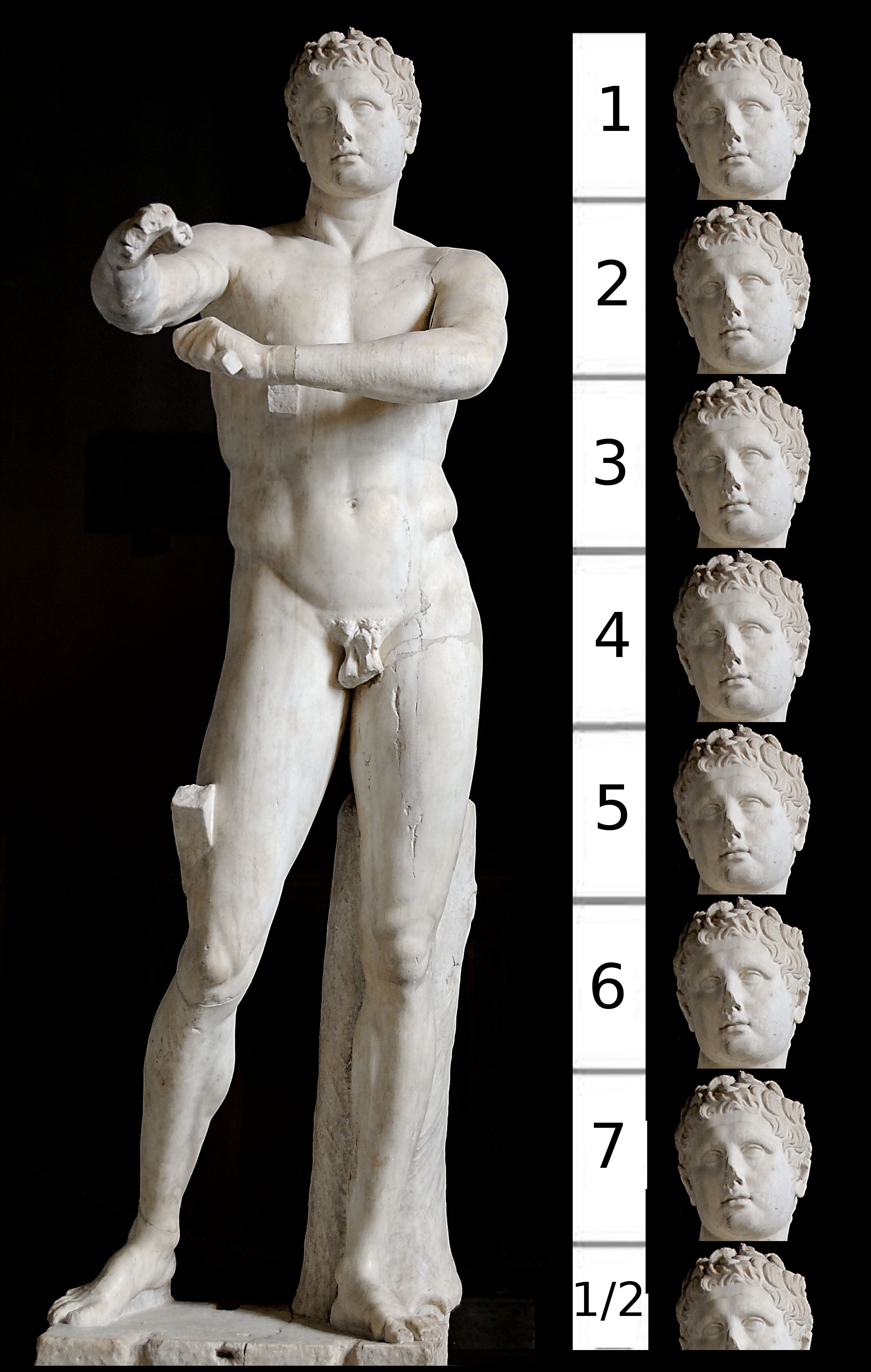 Resultado de imagen para proporcionalidad antropometria