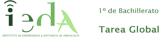 banner IEDA