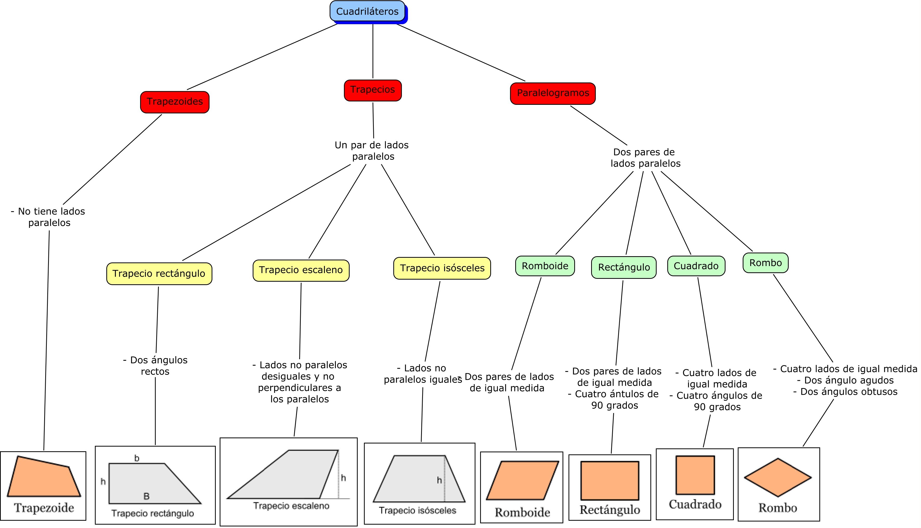 clasificación cuadriláteros