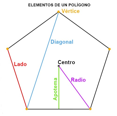 elementos de un polígono