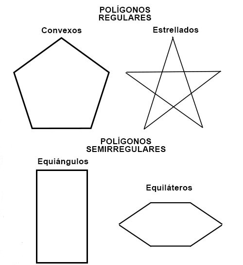 clasificación polígonos