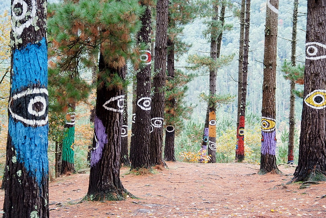 Bosque de Oma