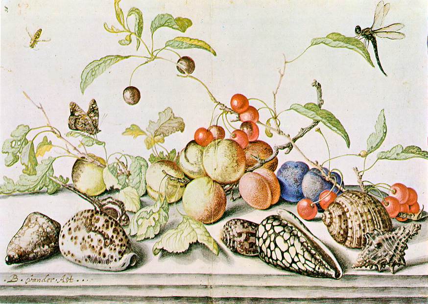 Naturaleza muerta.Balthasar Van der Ast 
