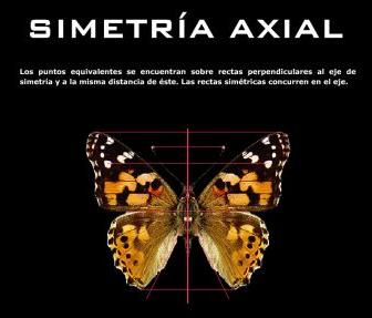 Mariposa. Aplicación sobre simetria cnice.