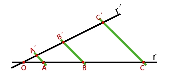 segmentos proporcionales