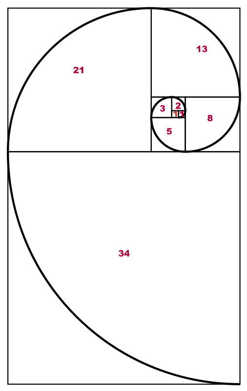 Espiral áurea