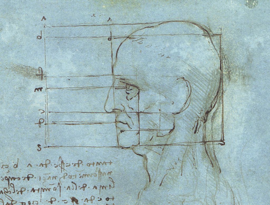 proporciones de la cabeza.Leonardo Da Vinci