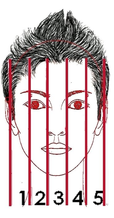 . La proporción en el rostro. | . La proporción en el rostro. |