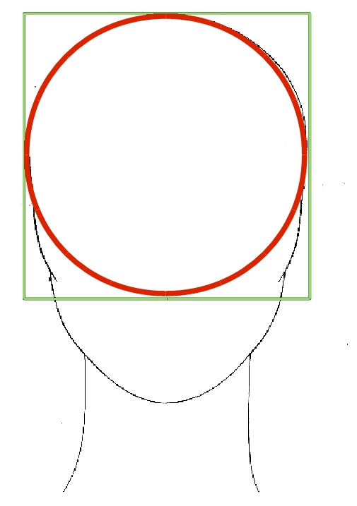 . La proporción en el rostro. | . La proporción en el rostro. |