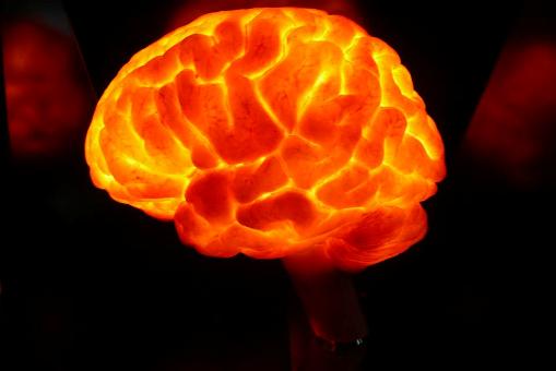 Cerebro