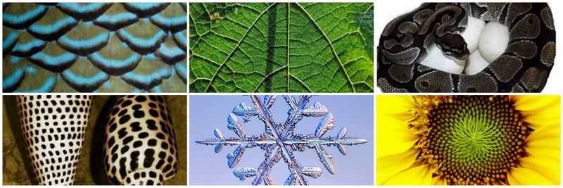 texturas naturales