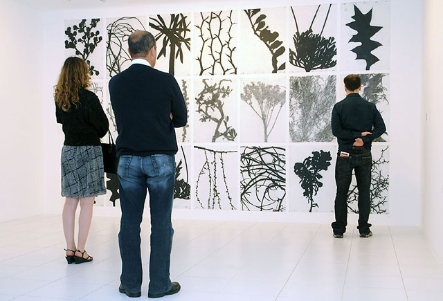 Observador de arte