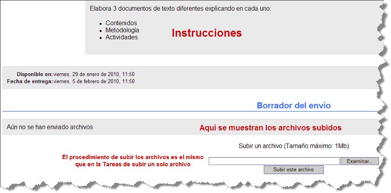 Tarea 12