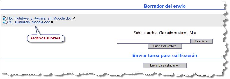 Tarea 13