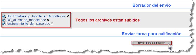 Tarea 14
